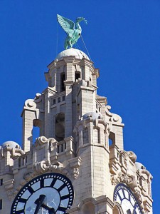 liver-bird