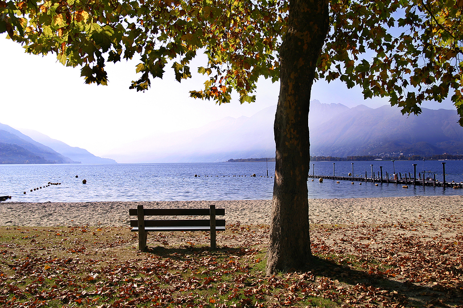 Autumn-Leaves-and-Bench